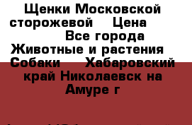 Щенки Московской сторожевой  › Цена ­ 25 000 - Все города Животные и растения » Собаки   . Хабаровский край,Николаевск-на-Амуре г.